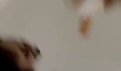 游客19315444_20240107274_2
