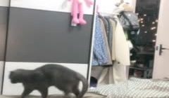 萌萌现场_啪啪极品_20210214