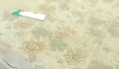 【极品骚货】新来的骚姐姐面对镜头舔弄着大鸡巴，样