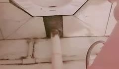 ✿户外刺激✿两个白富美在早茶闹市跳蛋自慰鲜鲍溢出