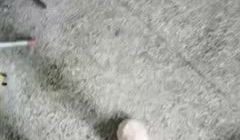 电子厂上班的成熟姐姐，塞着跳蛋在车间淫惑、点焊着