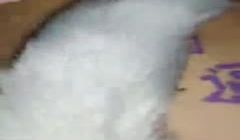 双马尾萌妹子跪着玩弄第三部 屁股上写字肛塞插菊花
