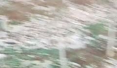 小树林里的龌龊事，老大爷被骚逼勾引活都不干了，尝