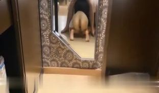 端庄气质少妇床上真骚