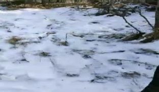 冰天雪地姐妹花玩户外露出口交●天气太冷鸡巴都快硬
