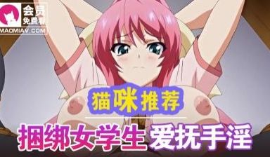 三射面谈~调教校园2