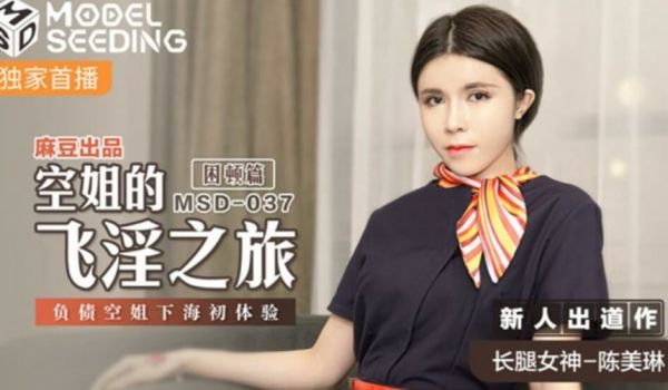麻豆传媒-空姐的飞淫之旅负债空姐下海初体验-陈美