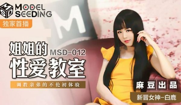 麻豆传媒-姐姐的性爱教室调教亲弟的不伦初体验-白