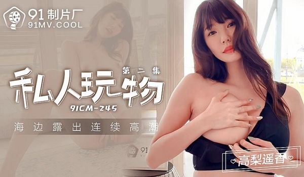 91CM245 私人玩物第二集