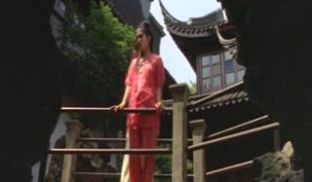 竹夫人