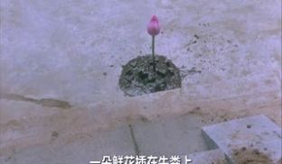 玉蒲团之偷情宝鉴