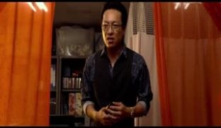 雌猫们DawnoftheFelines2017B