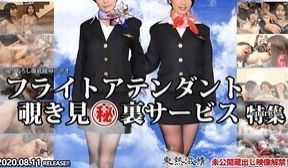 东热激情 N1484