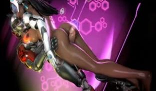 Overwatch Heroes Collect