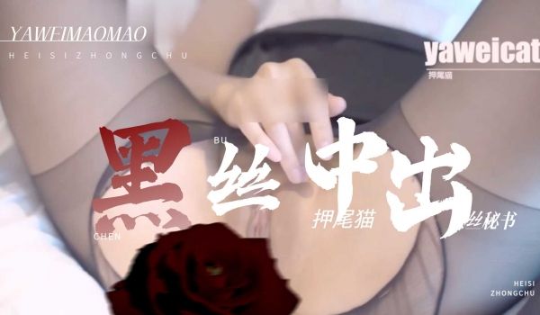 网红少女押尾猫爆裂黑丝女秘书落地窗前中出1