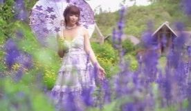 JasmineJ紫色花海的爱1