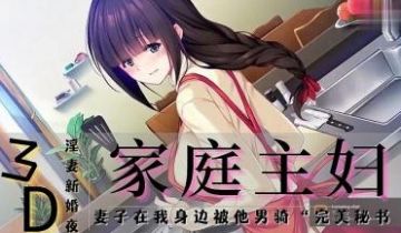 3D 新婚-家庭主妇