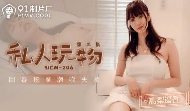【91制片厂】91CM-246 私人玩物 第三集