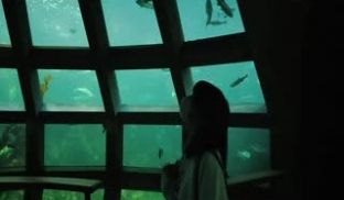 HongKongDoll 玩偶姐姐 Vlog长片