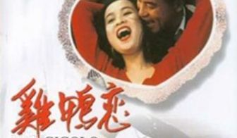 香港三级片鸡鸭恋限制情色片