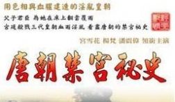 香港三级片唐朝禁宫秘史