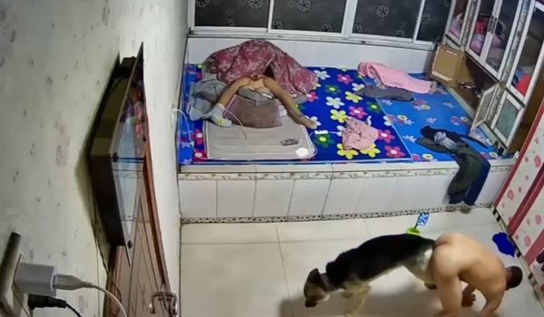 墙都不扶，就服你的!