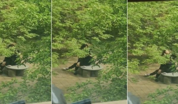 这对学生情侣也太猴急了吧的!