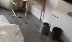 以往更新的都是男人找小三，想不到女人更彪悍的!