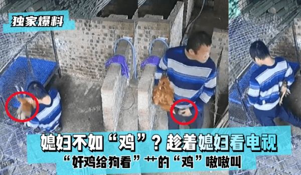 【独家爆料】媳妇不如“鸡”？趁着媳妇看电视“奸鸡