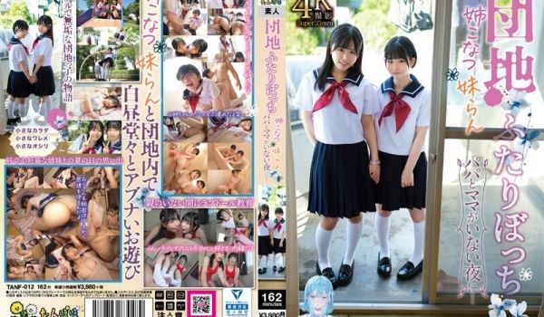 団地ふたりぼっち 姉こなつ妹らん パパとママがい
