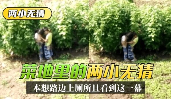 【两小无猜】本想路边上厕所，没想到一抬头菜地里看