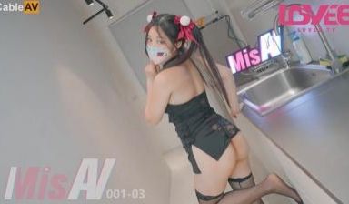 国产AV MisAV MisAV001-03-2