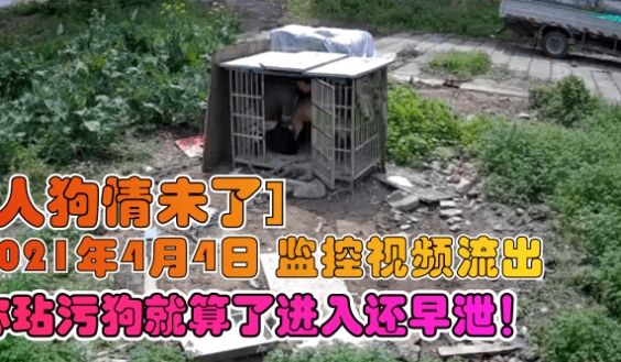 【人狗情未了】2021年4月4日 监控视频流出，