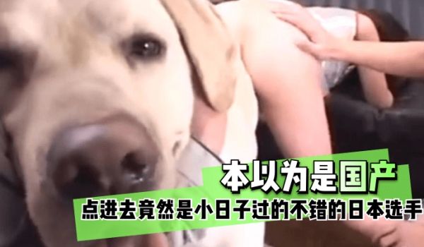 【重口味慎入】“人狗情未了”日本爱宠性伴侣_精彩