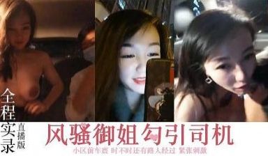 风骚御姐，勾搭司机，小区前车震.
