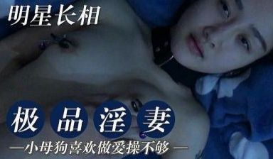 极品淫妻.