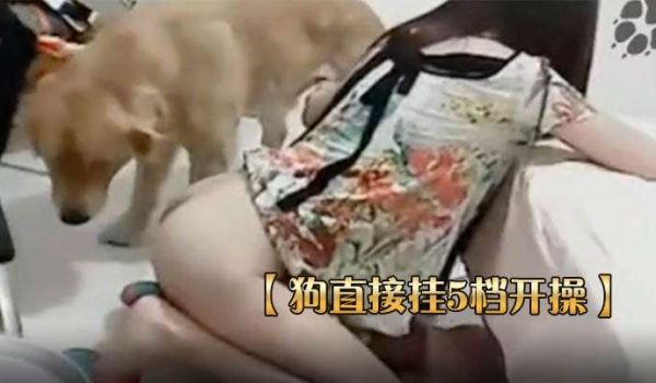 狗直接挂5档开操女主保持一个姿势让狗后入..