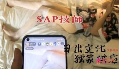 日出文化SAP技师极品服务.