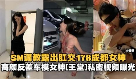 SM调教露出肛交178成都女神高颜反差车模女神私