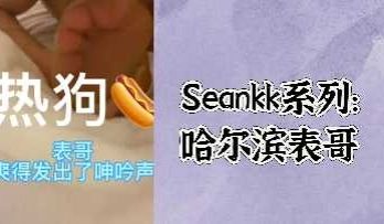 Seankk系列哈尔滨表哥