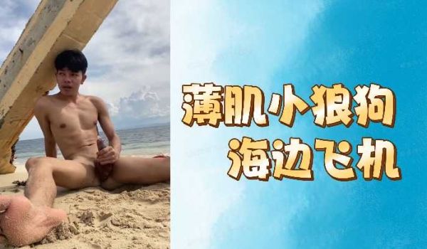 薄肌小狼狗海边飞机