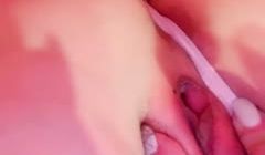 呆鹅(1)。