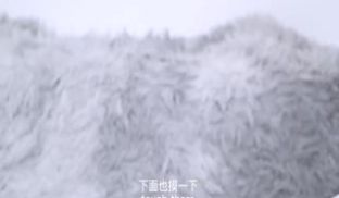 穿着白丝诱惑被就地正法！的。