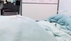 喵喵是个猫.