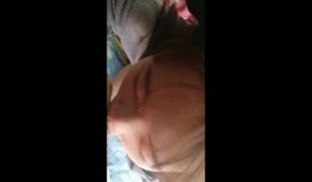 高颜值清纯脸女孩经男友多年调教终变小淫娃_口活精