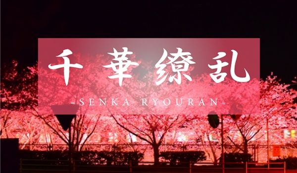 FC2-3982659 【不安と紧张のその先へ.