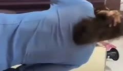 肉感水多的少妇