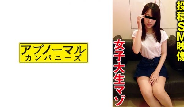 481SACZ-485 かえで