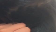 窗台爆插骚女友