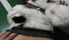 停车场后入妹子骚逼